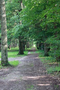 le controis en sologne