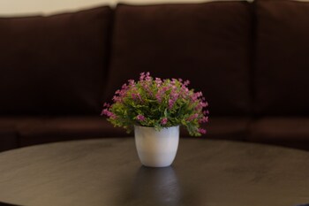 Erica Residences,Nairobi>>Kileleshwa,4 star