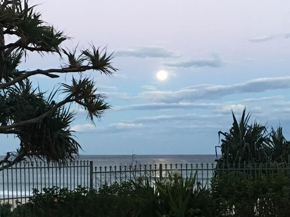 the penthouses apartments