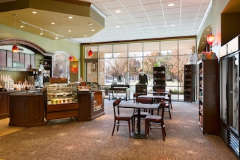 embassy suites by hilton dallas frisco hotel and convention center