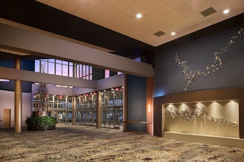 embassy suites by hilton dallas frisco hotel and convention center