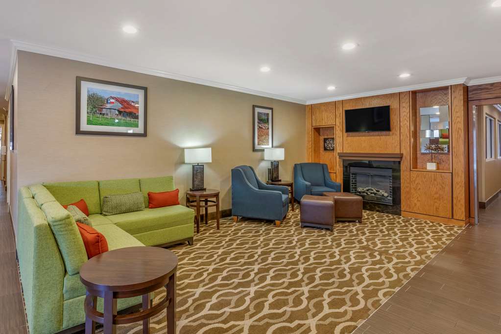 comfort inn and suites north dallas addison
