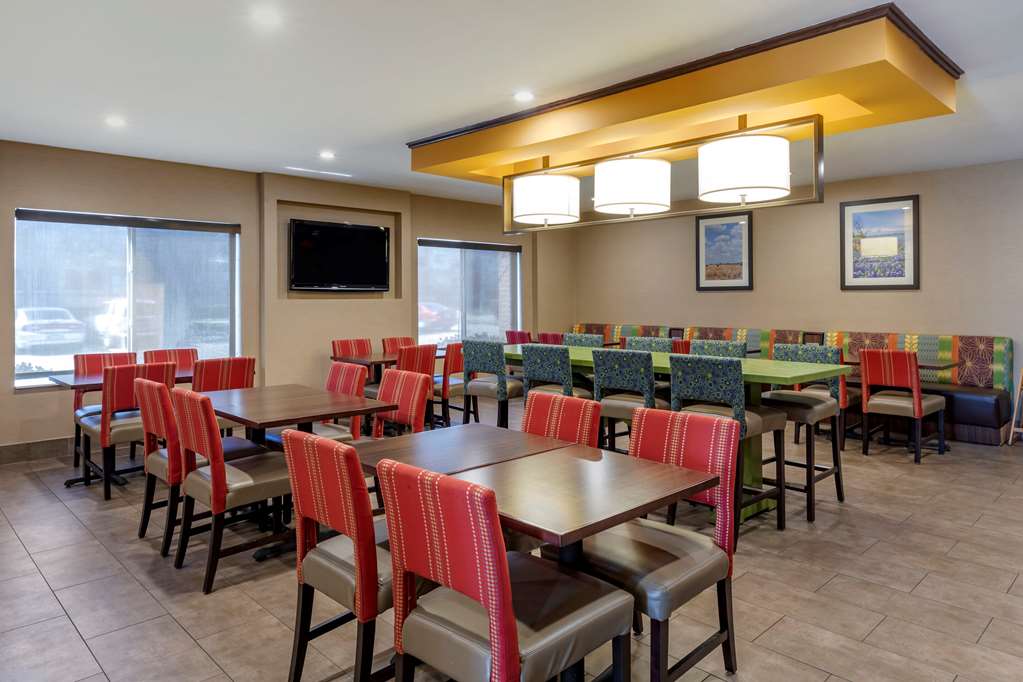 comfort inn and suites north dallas addison