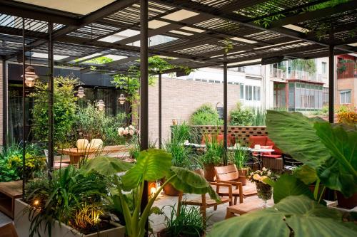 alexandra barcelona hotel curio collection by hilton