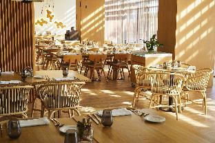 occidental atenea mar adults only