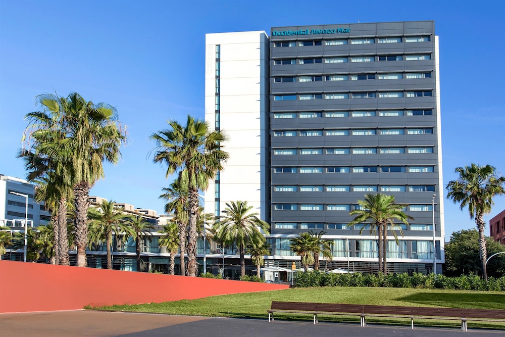 occidental atenea mar adults only