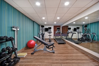 Holiday Inn Express & Suites Allentown-Dorney Park Area By Ihg,Lehigh>>Allentown,3 star