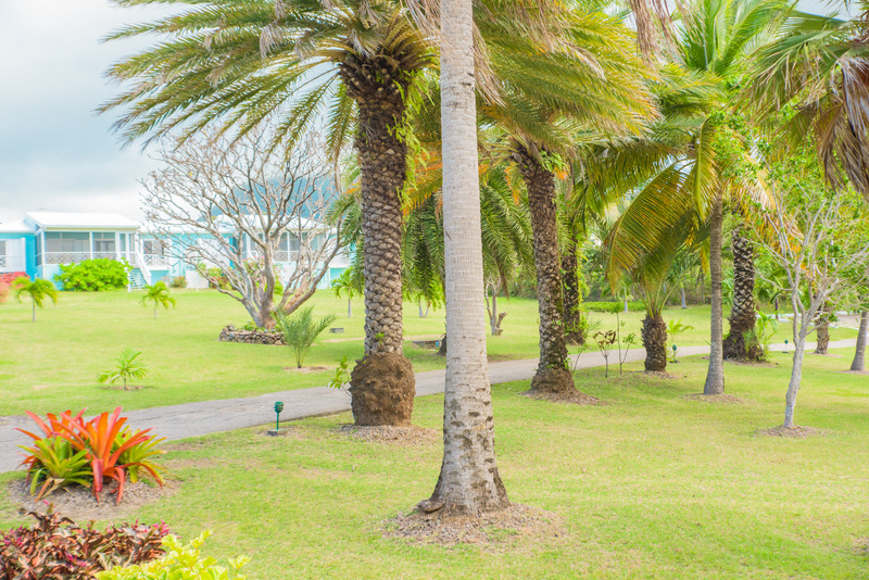 Mount Nevis Hotel,In Newcastle,4 star