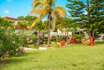 mount nevis hotel