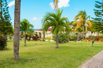 mount nevis hotel