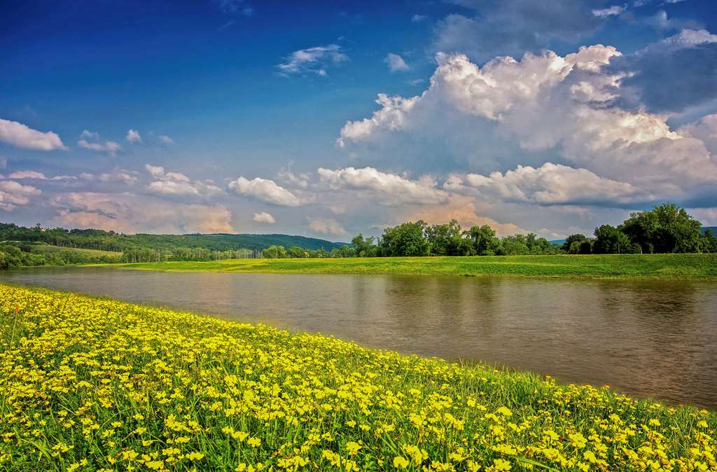 Clarion Inn Elmira-Horseheads,Near Chemung Valley History Museum,3 star