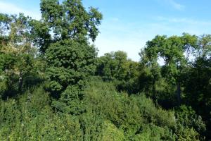 ibis paris meudon velizy