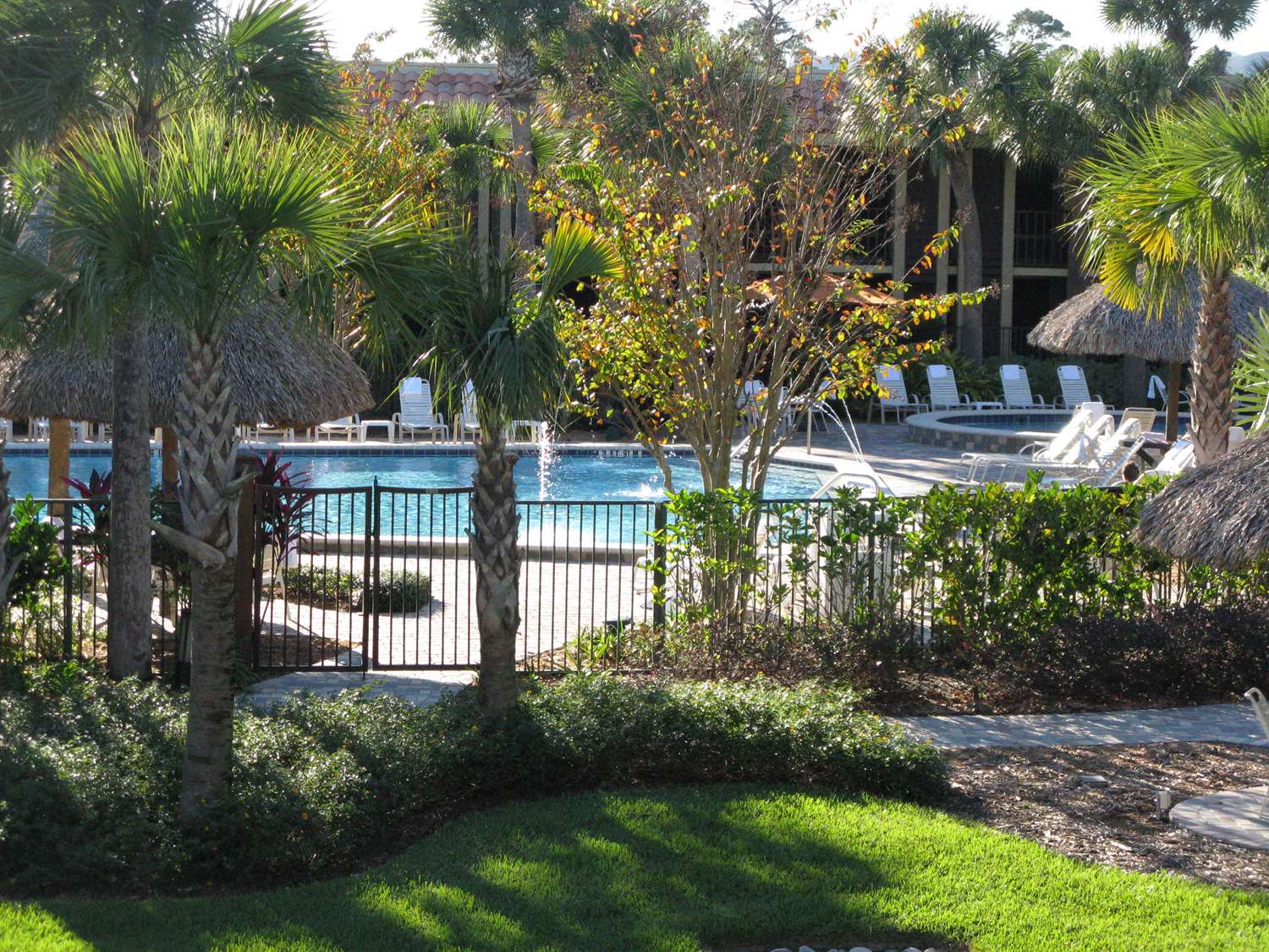doubletree by hilton hotel orlando at seaworld