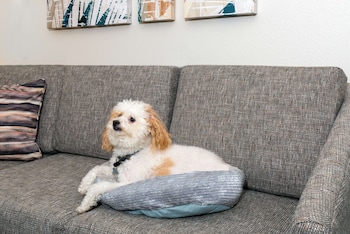 homewood suites by hilton orlando nearest universal studios