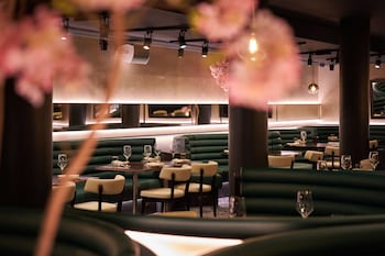 the westminster london curio collection by hilton