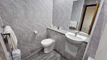 hampstead britannia hotel