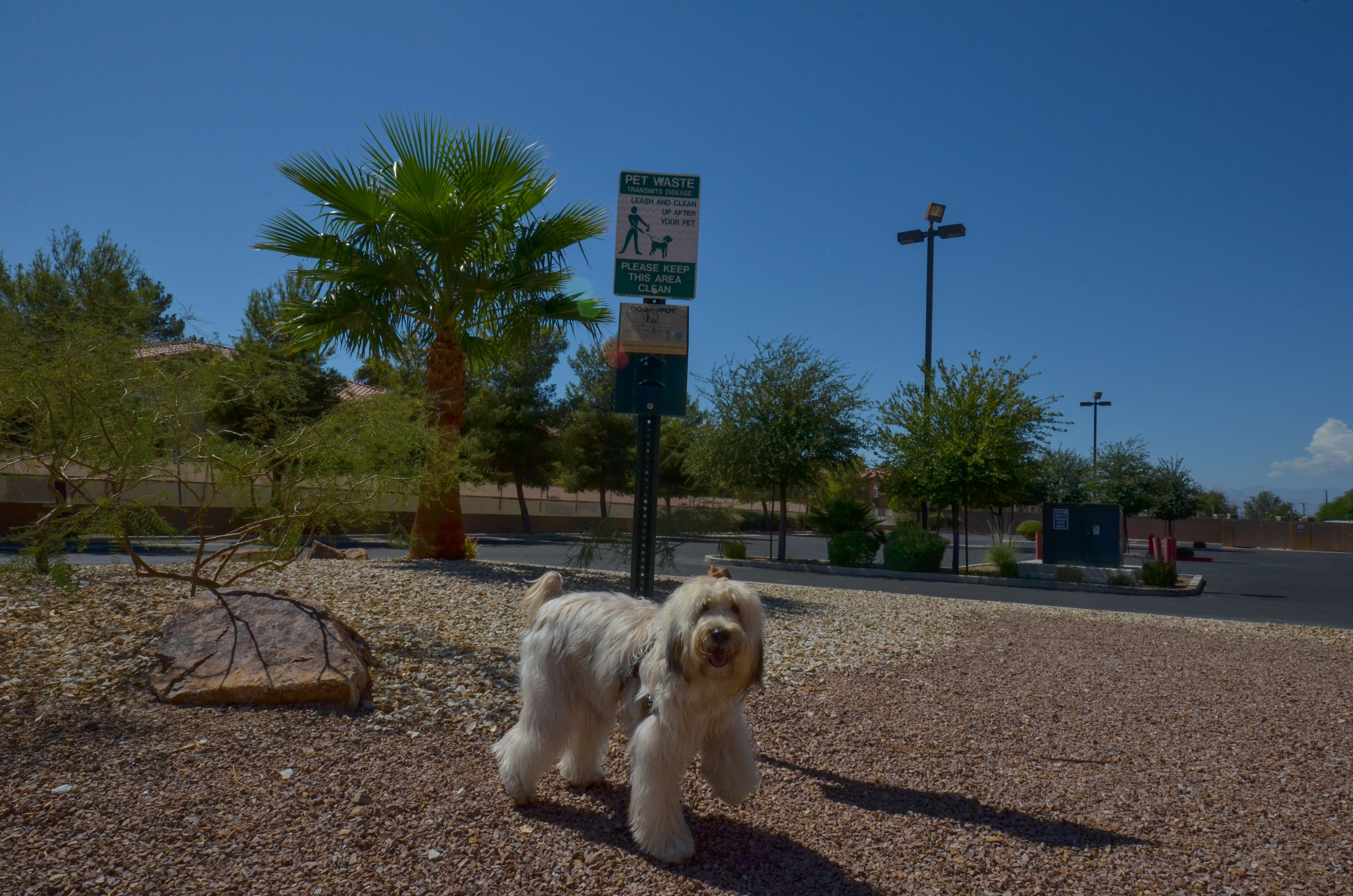 holiday inn express las vegas nellis by ihg