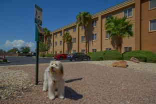 holiday inn express las vegas nellis by ihg