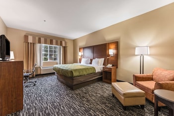 quality inn and suites hendersonville flat rock