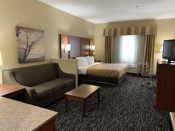 quality inn and suites hendersonville flat rock