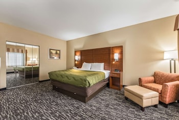 quality inn and suites hendersonville flat rock