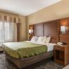 quality inn and suites hendersonville flat rock