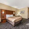 quality inn and suites hendersonville flat rock