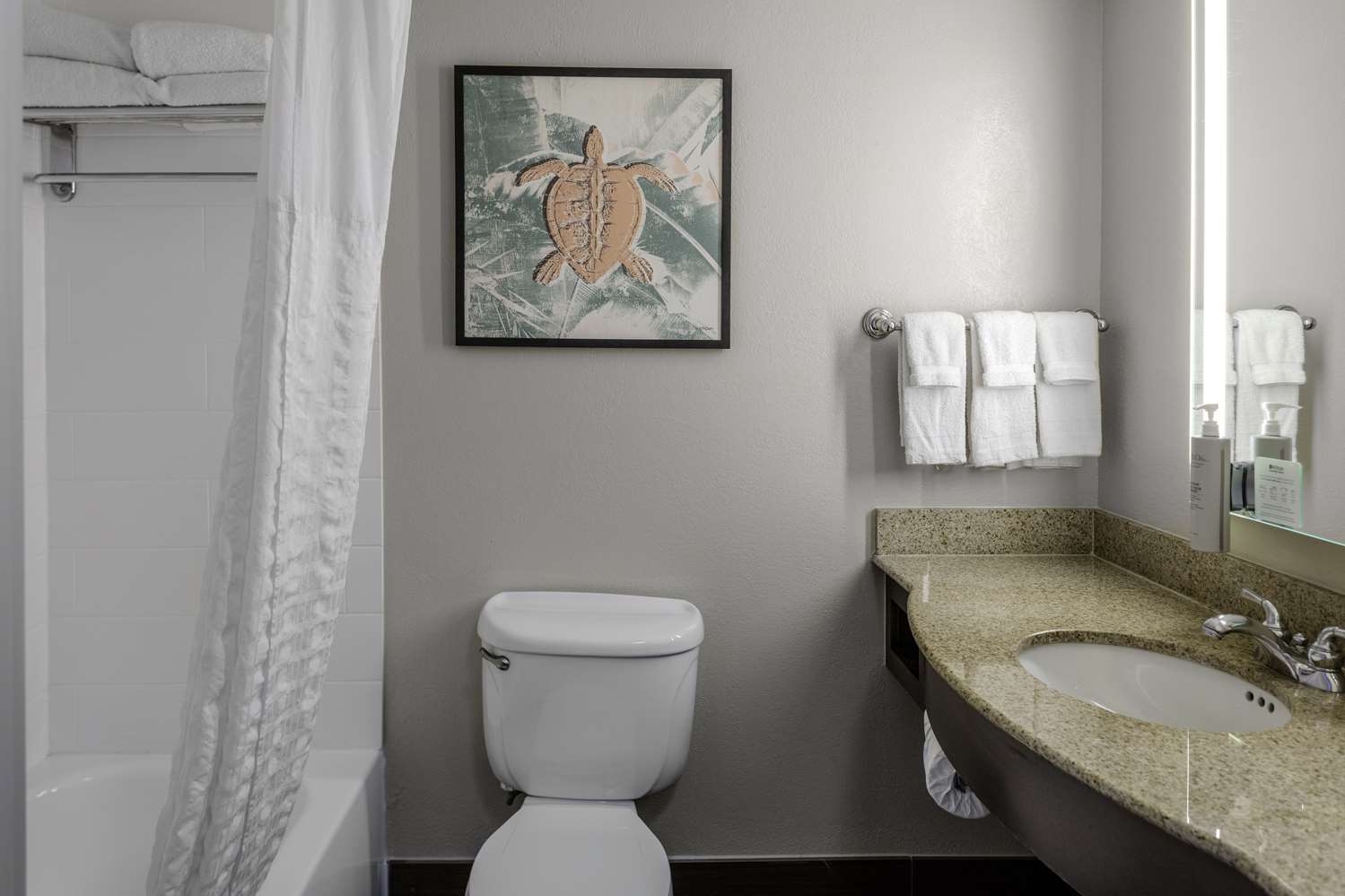 hilton garden inn sarasota bradenton airport