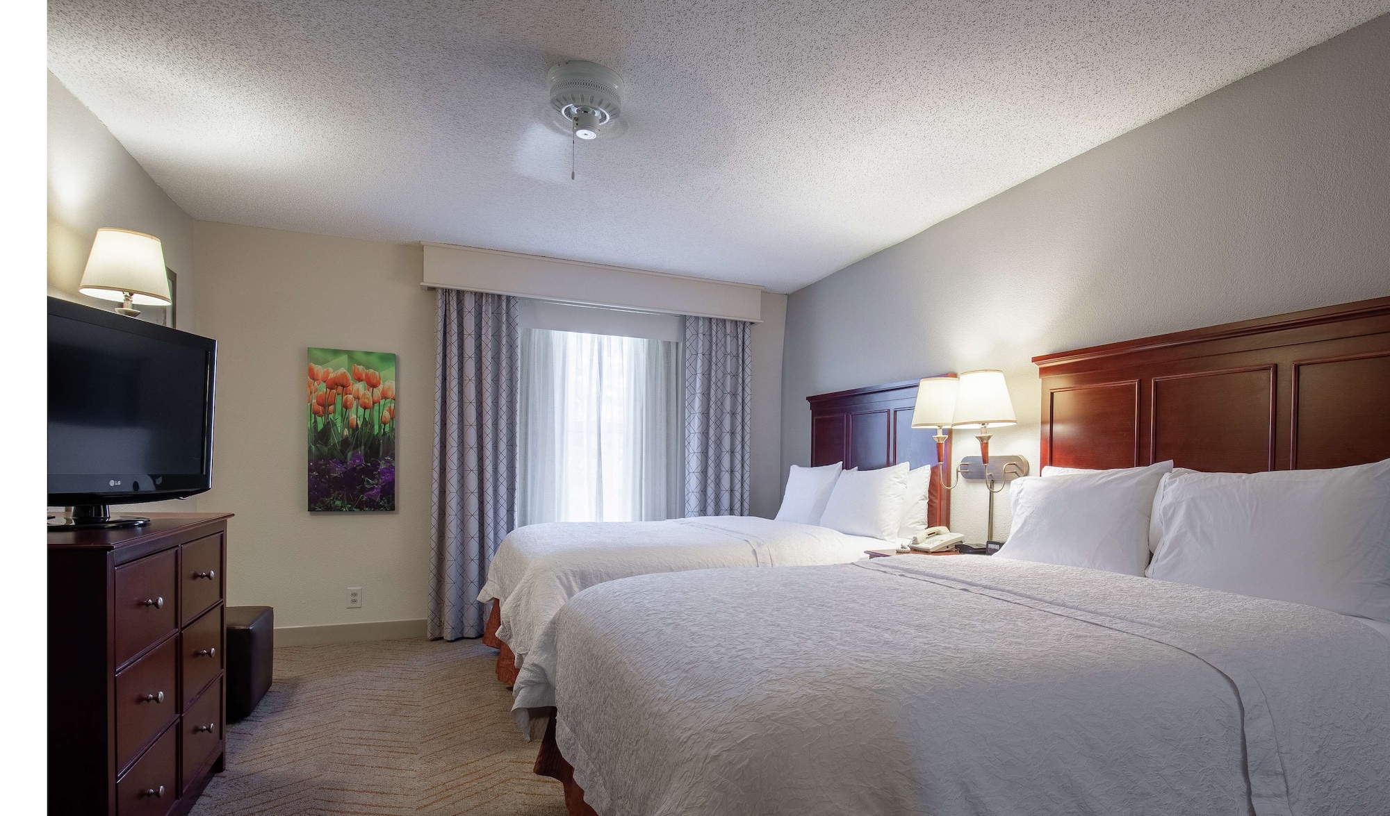 hampton inn and suites williamsburg richmond rd