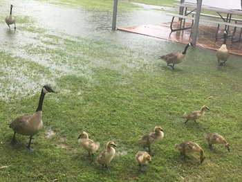 trident inn and suites baton rouge