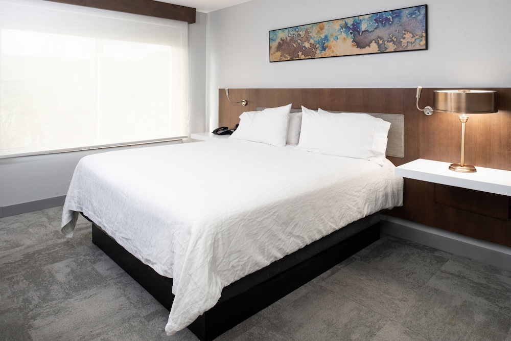 hilton garden inn baton rouge airport
