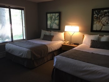 north star lodge and resort