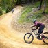 killington