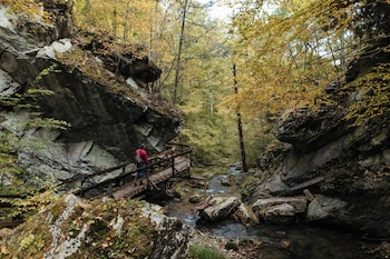the omni homestead resort and spa
