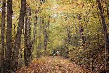 the omni homestead resort and spa