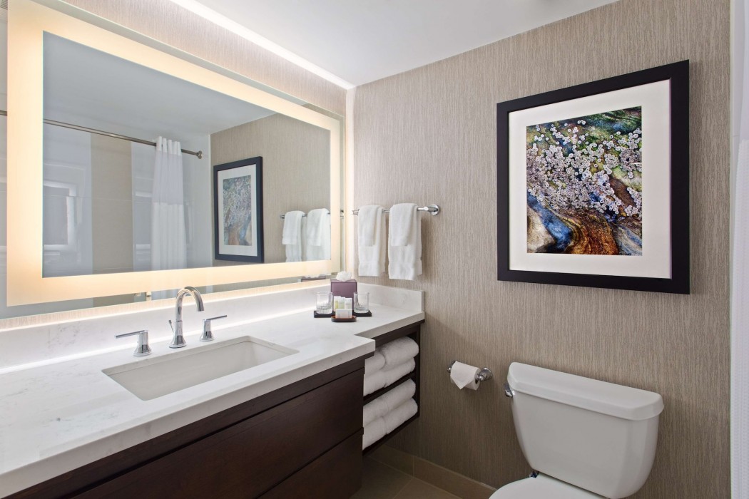 embassy suites by hilton orlando international dr conv ctr