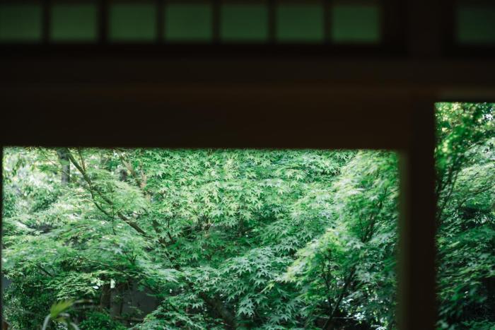 kyoto nanzenji garden ryokan yachiyo established in 1915