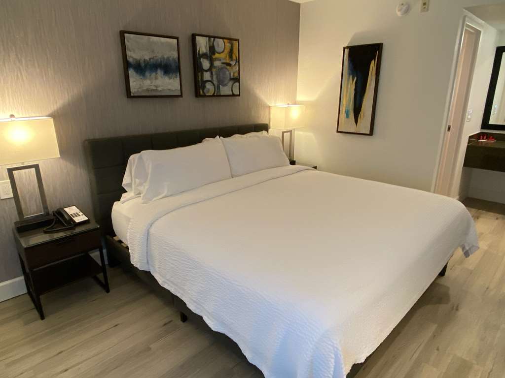 revival scottsdale studios