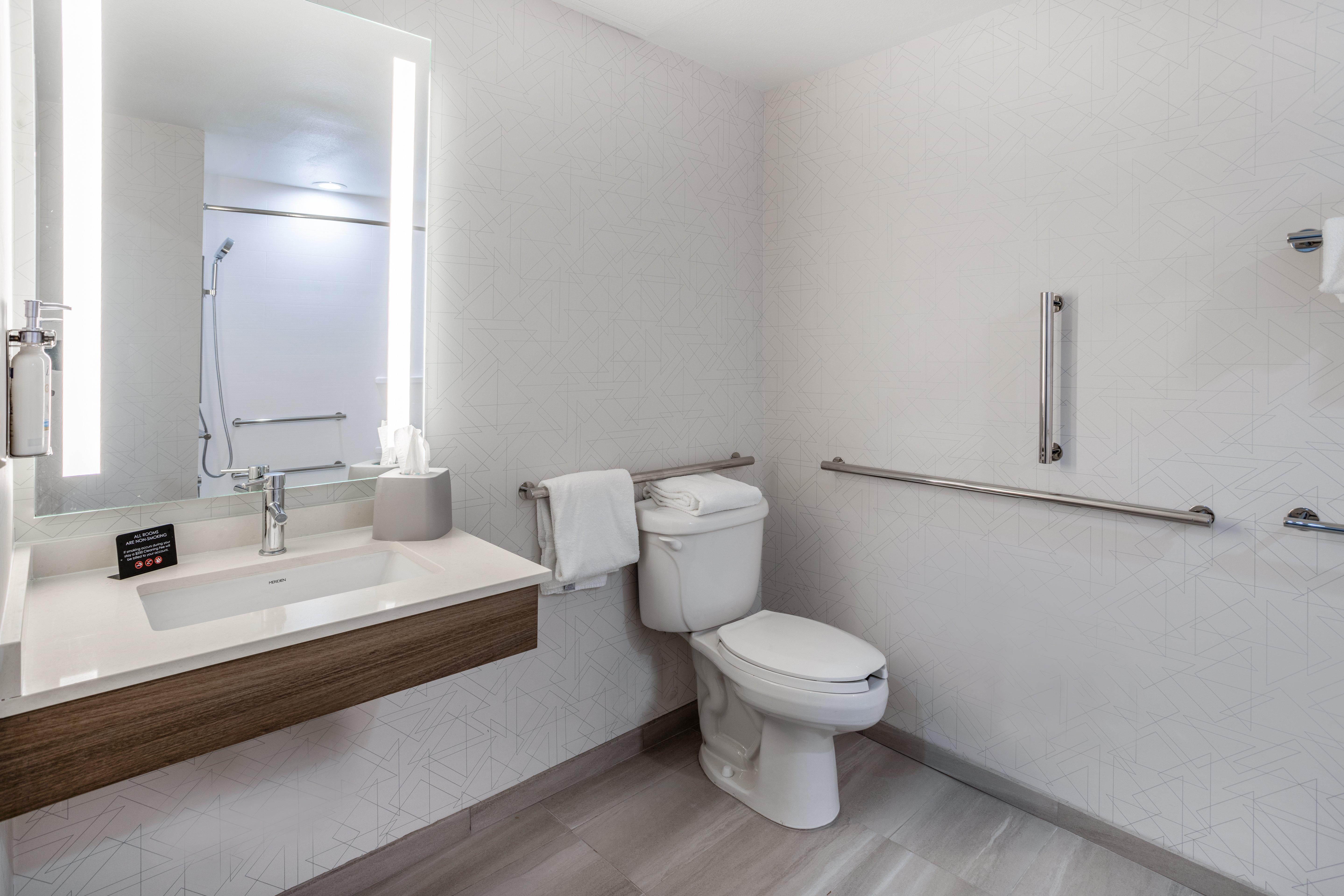 holiday inn express and suites tampa i 75