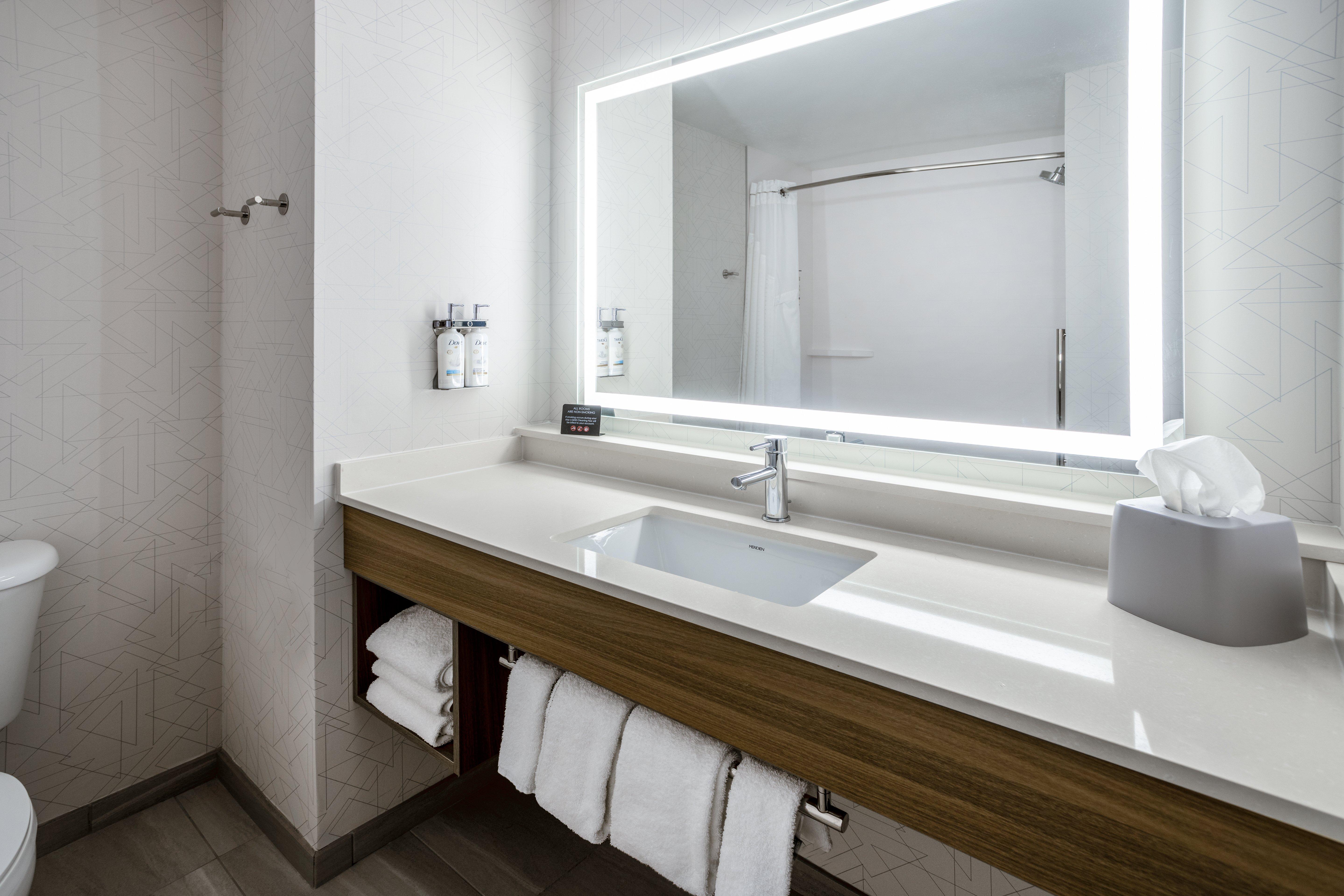 holiday inn express and suites tampa i 75