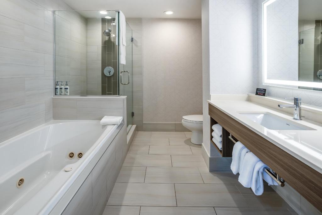 holiday inn express and suites tampa i 75