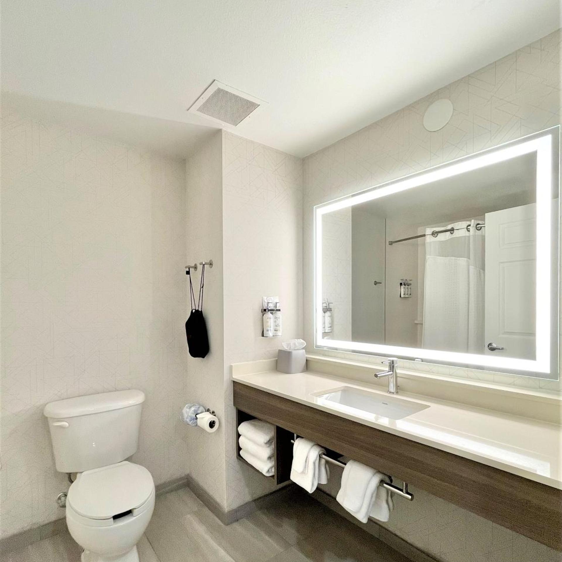 holiday inn express and suites tampa i 75