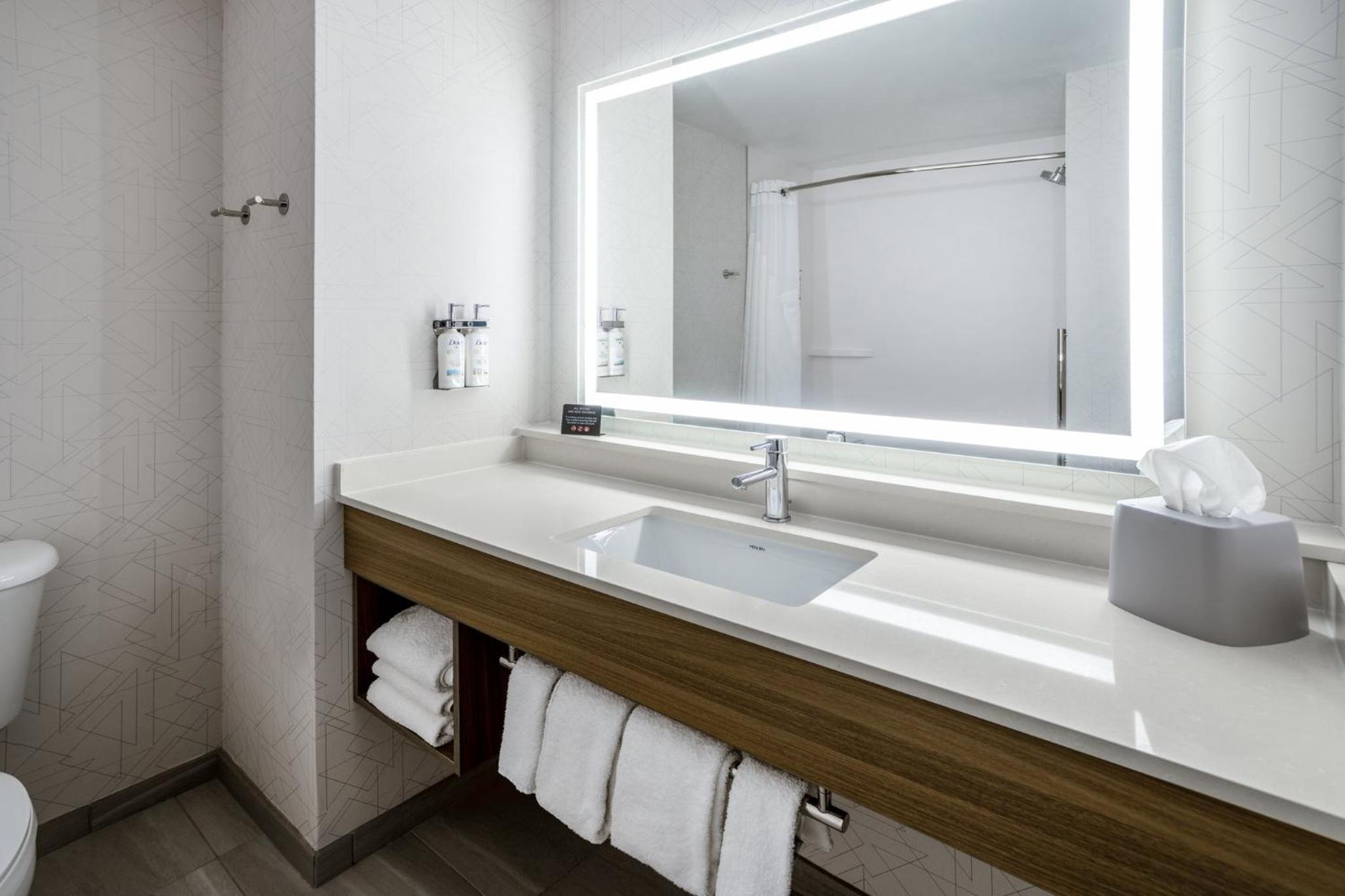 holiday inn express and suites tampa i 75