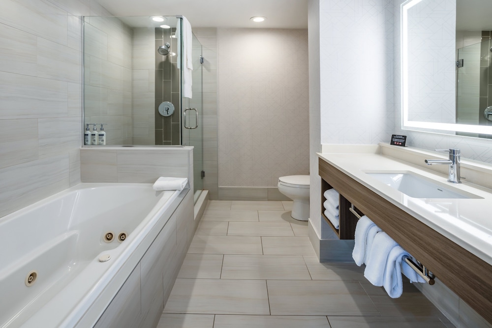 holiday inn express and suites tampa i 75