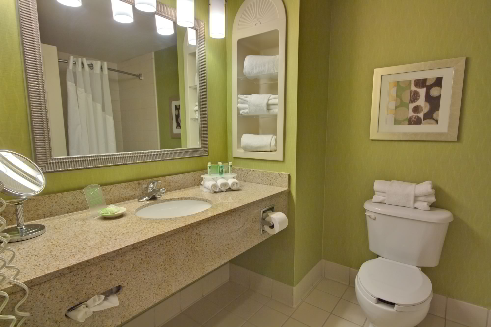 holiday inn express and suites tampa i 75