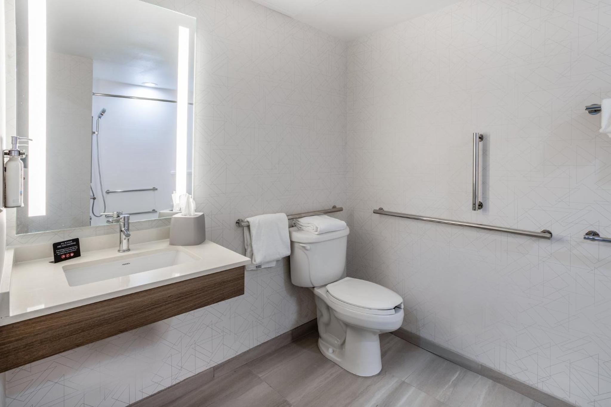 holiday inn express and suites tampa i 75