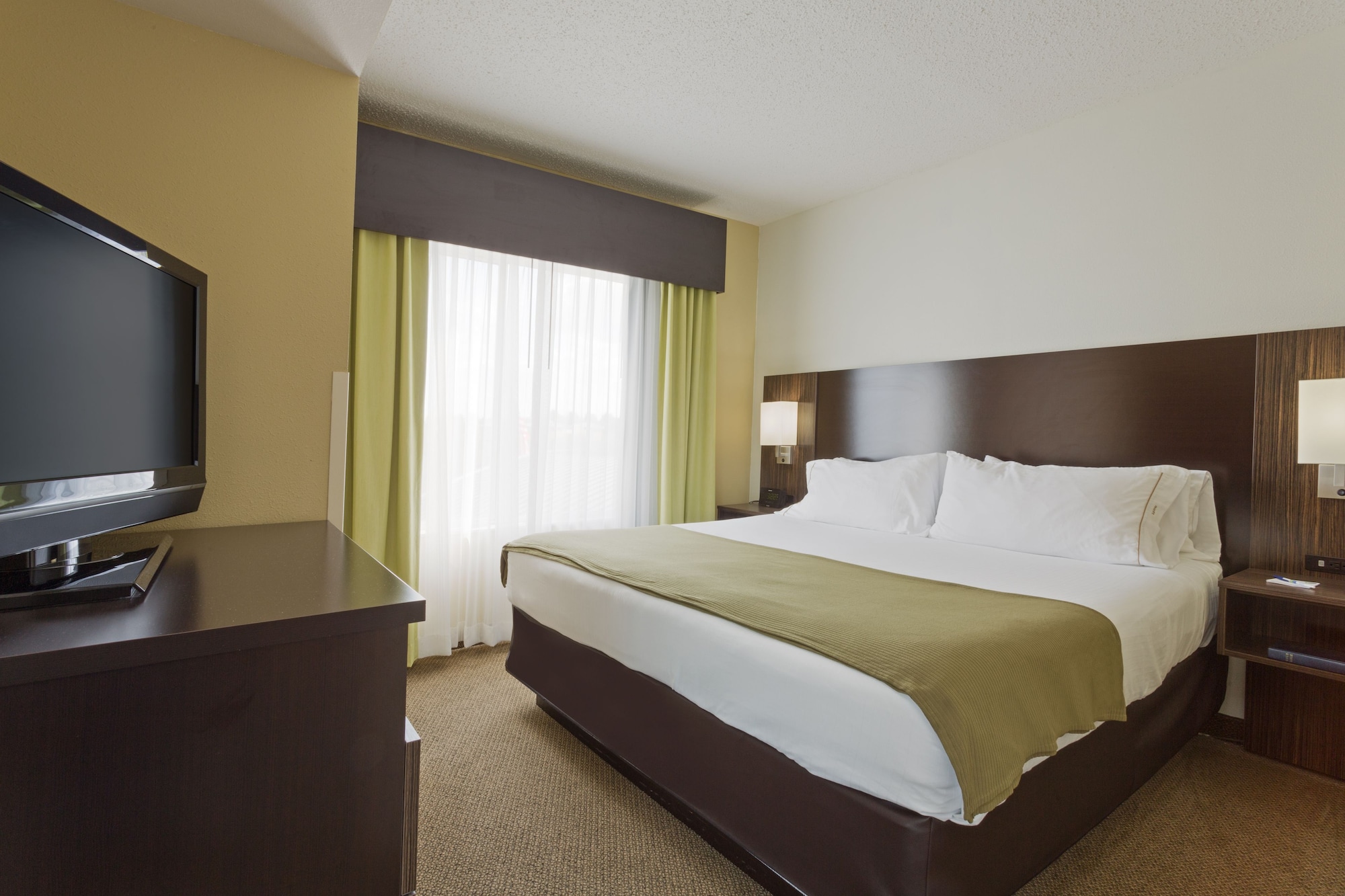 holiday inn express and suites tampa i 75