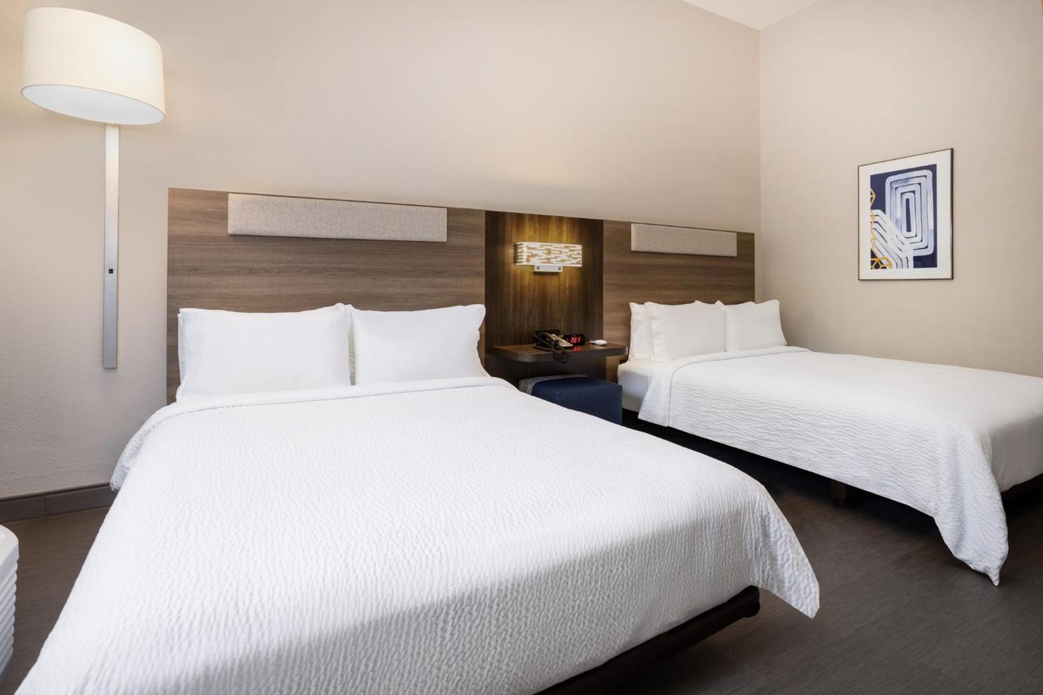 holiday inn express and suites tampa i 75
