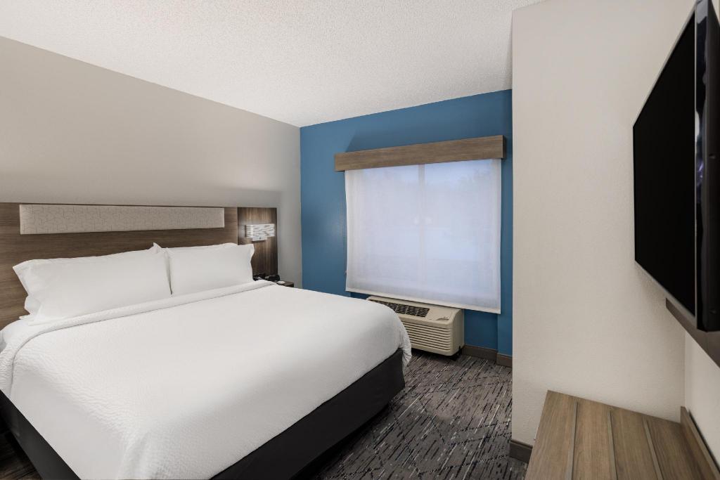 holiday inn express and suites tampa i 75