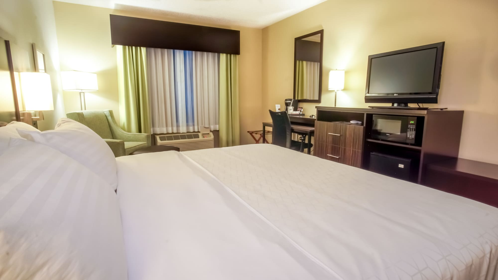 holiday inn express and suites tampa i 75